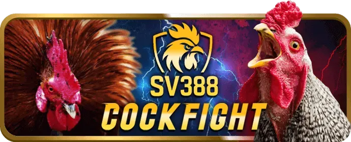 Cá cược bóng đá 39bet7